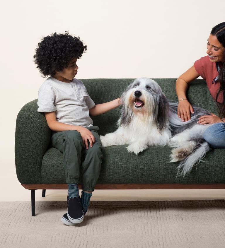 Pet insurance for older dogs ManyPets