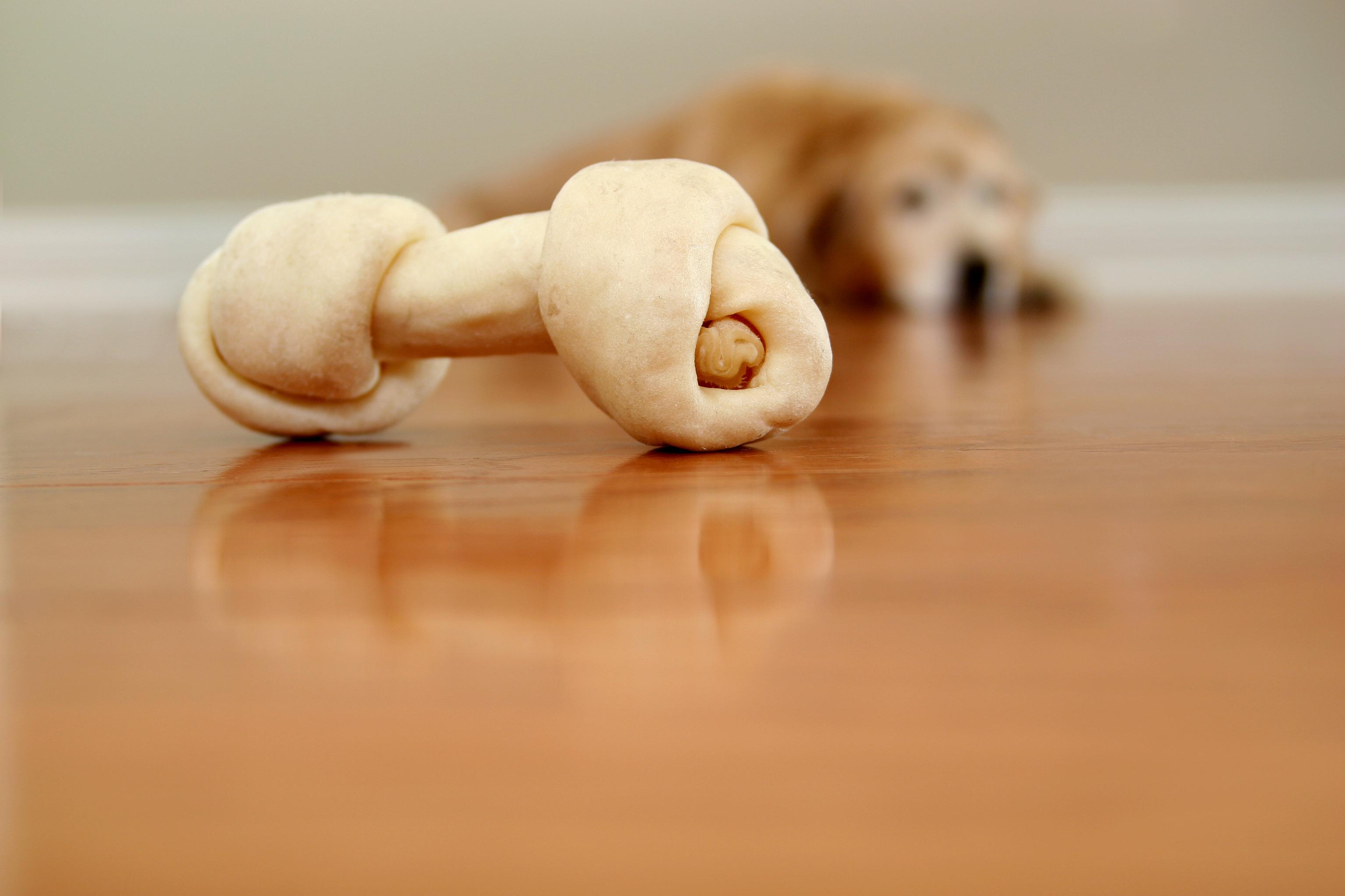 A close-up of a rawhide treat in the shape of a bone with a dog laying far away from it in the blurred background