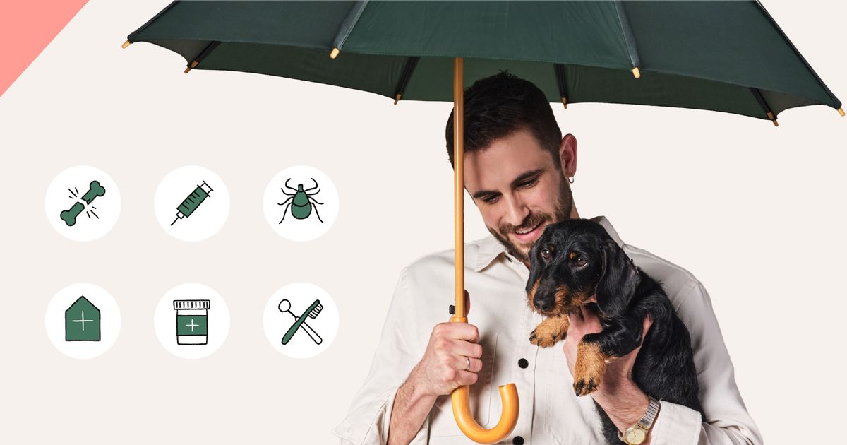 What does pet insurance NOT cover? ManyPets