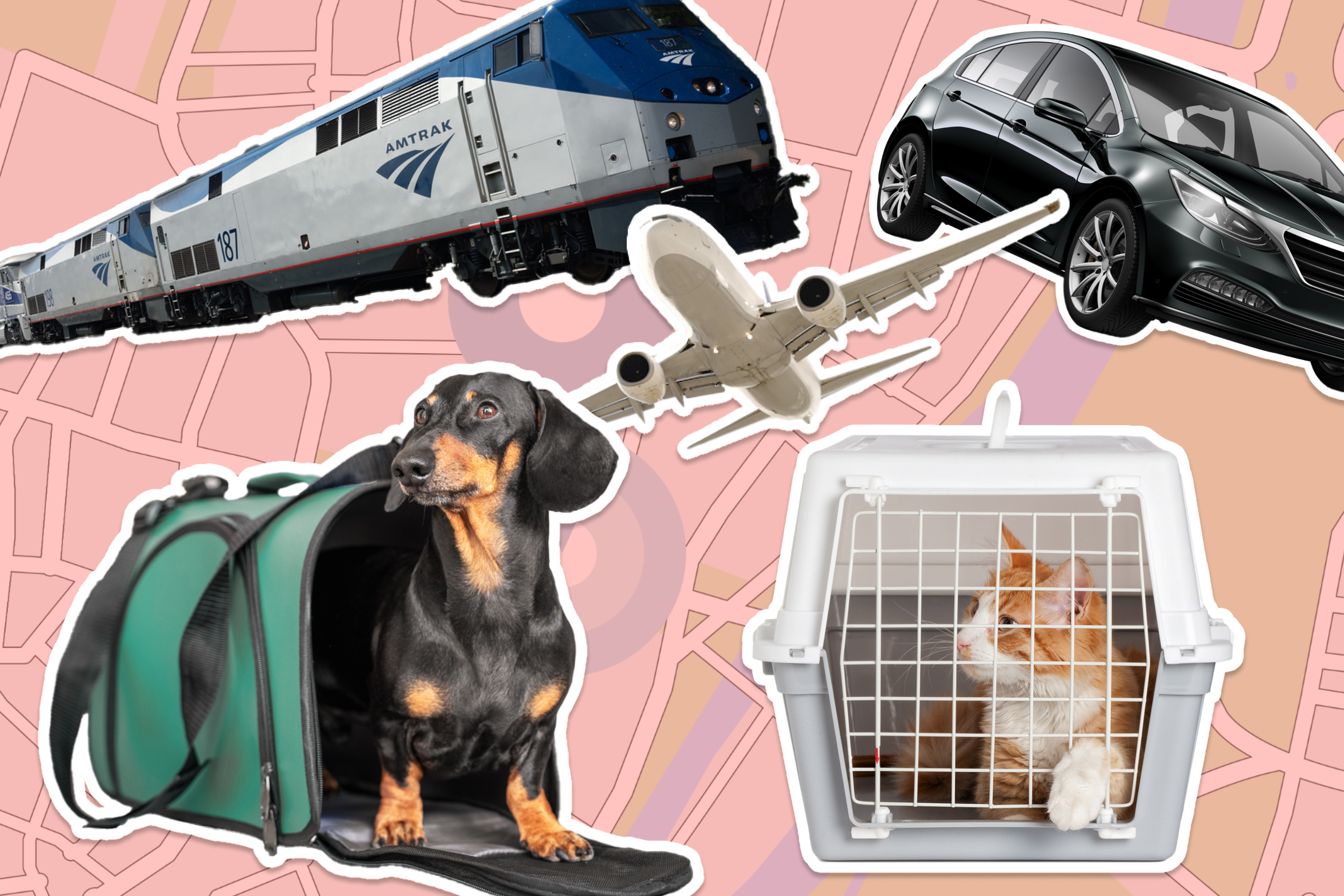 Travel Amtrak And Dogs Pet Travel Cover Holiday Cover For Dogs