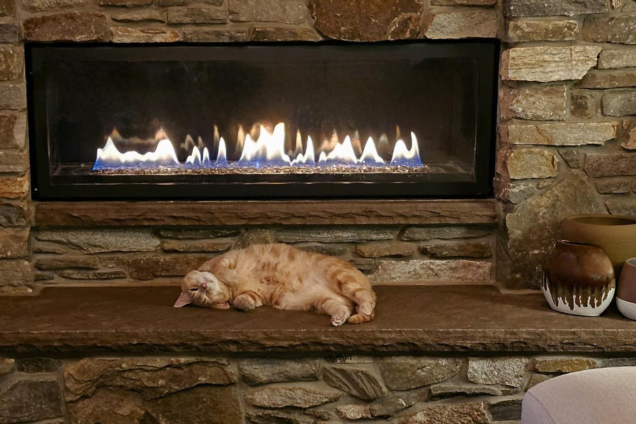 A ginger cat happily lazes next to a fire with a glass door, they&#39;re on their back and wearing a joyful expression