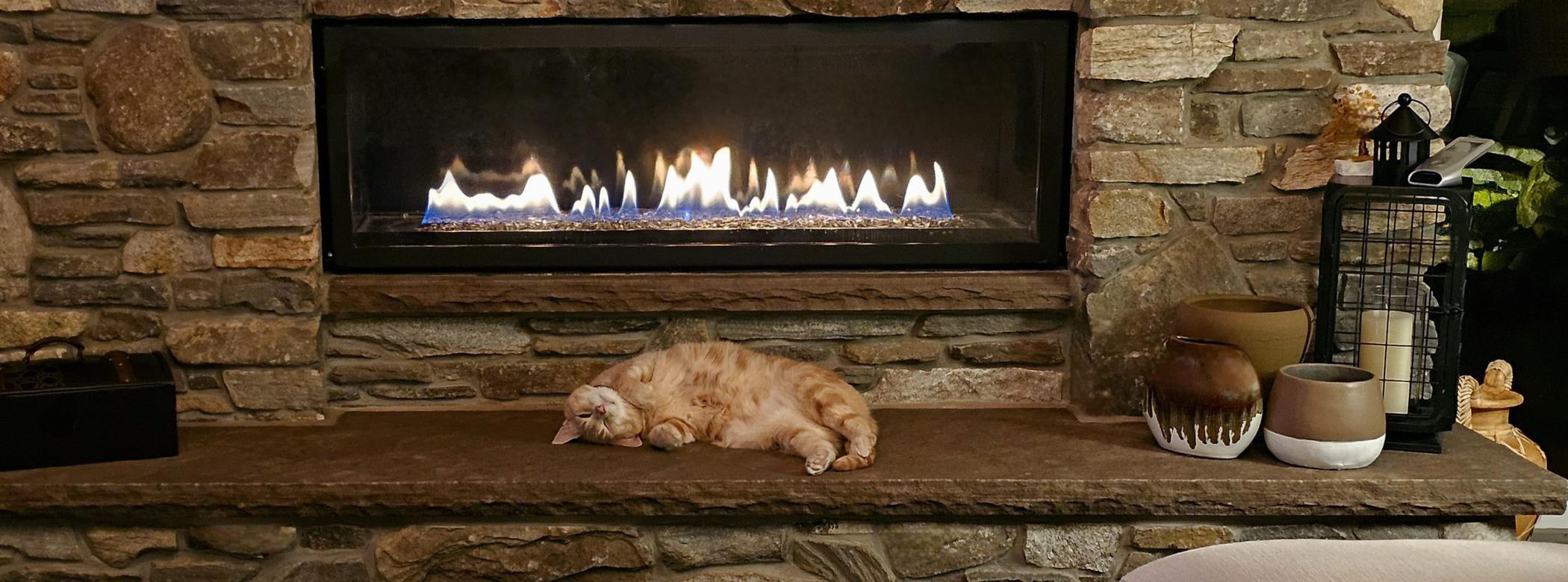 A ginger cat happily lazes next to a fire with a glass door, they&#39;re on their back and wearing a joyful expression