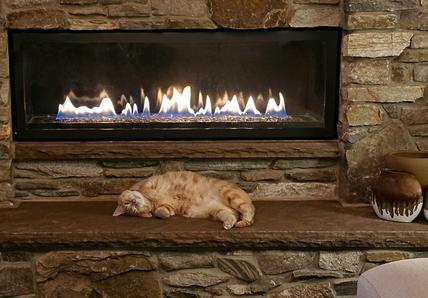 A ginger cat happily lazes next to a fire with a glass door, they&#39;re on their back and wearing a joyful expression