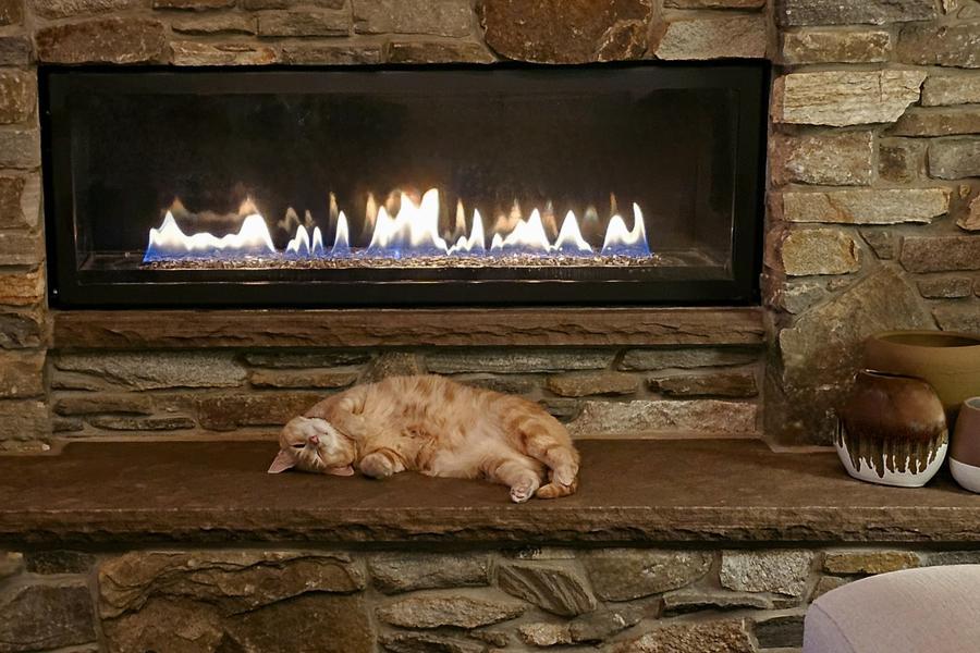 A ginger cat happily lazes next to a fire with a glass door, they&#39;re on their back and wearing a joyful expression