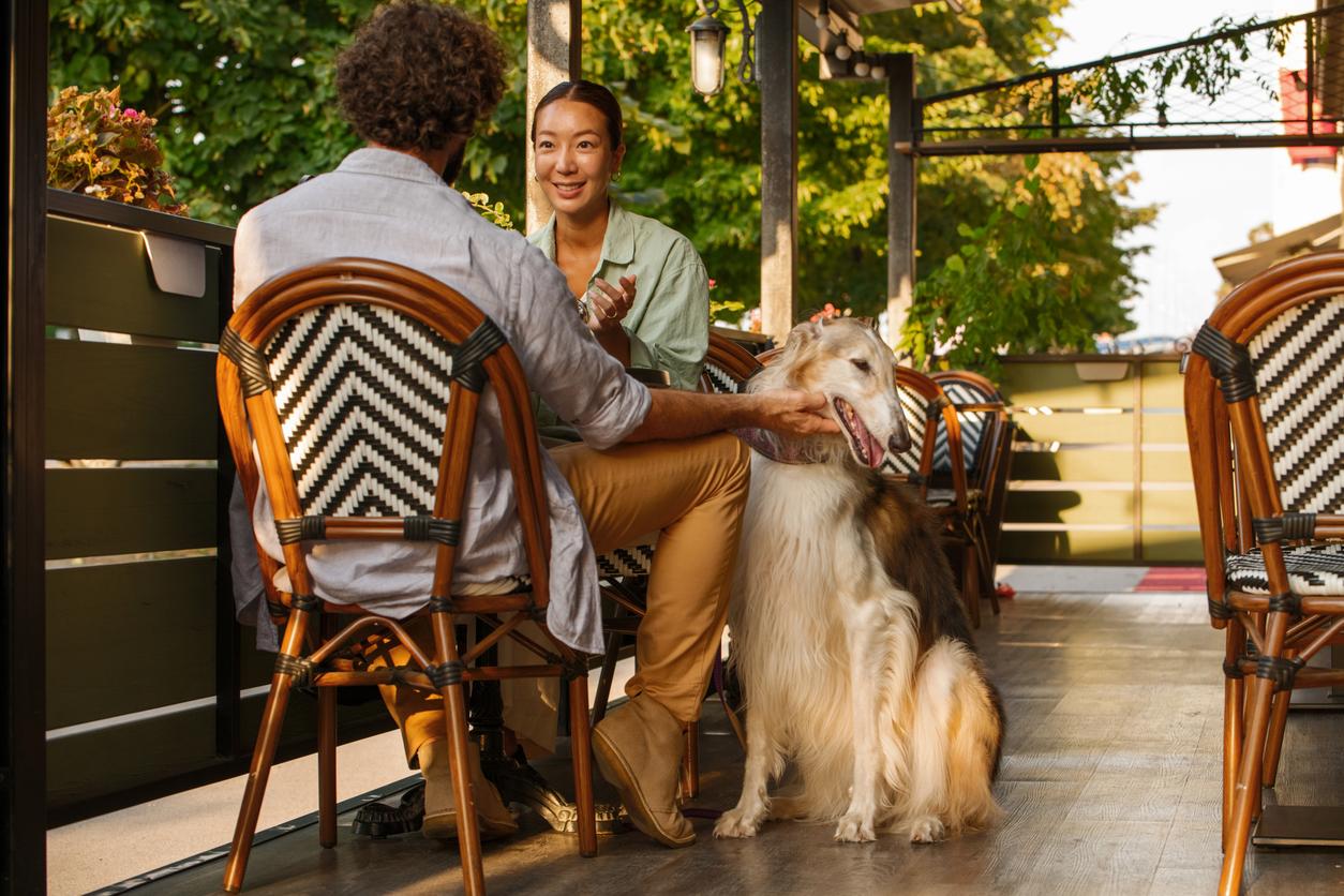 A Borzoi makes a happy expression as a man pets them; he's sat at a table with a woman on an outdoor patio area