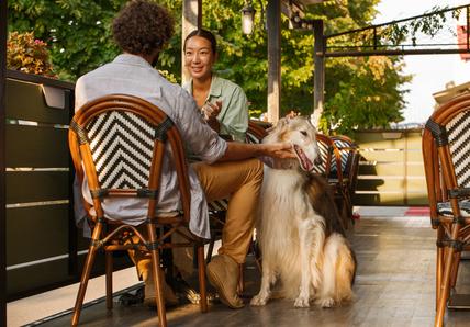 A Borzoi makes a happy expression as a man pets them; he's sat at a table with a woman on an outdoor patio area