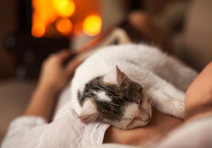 A white-and-grey cat lays on a persons chest as they both sleep near a fire