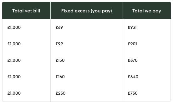A table with various excess examples