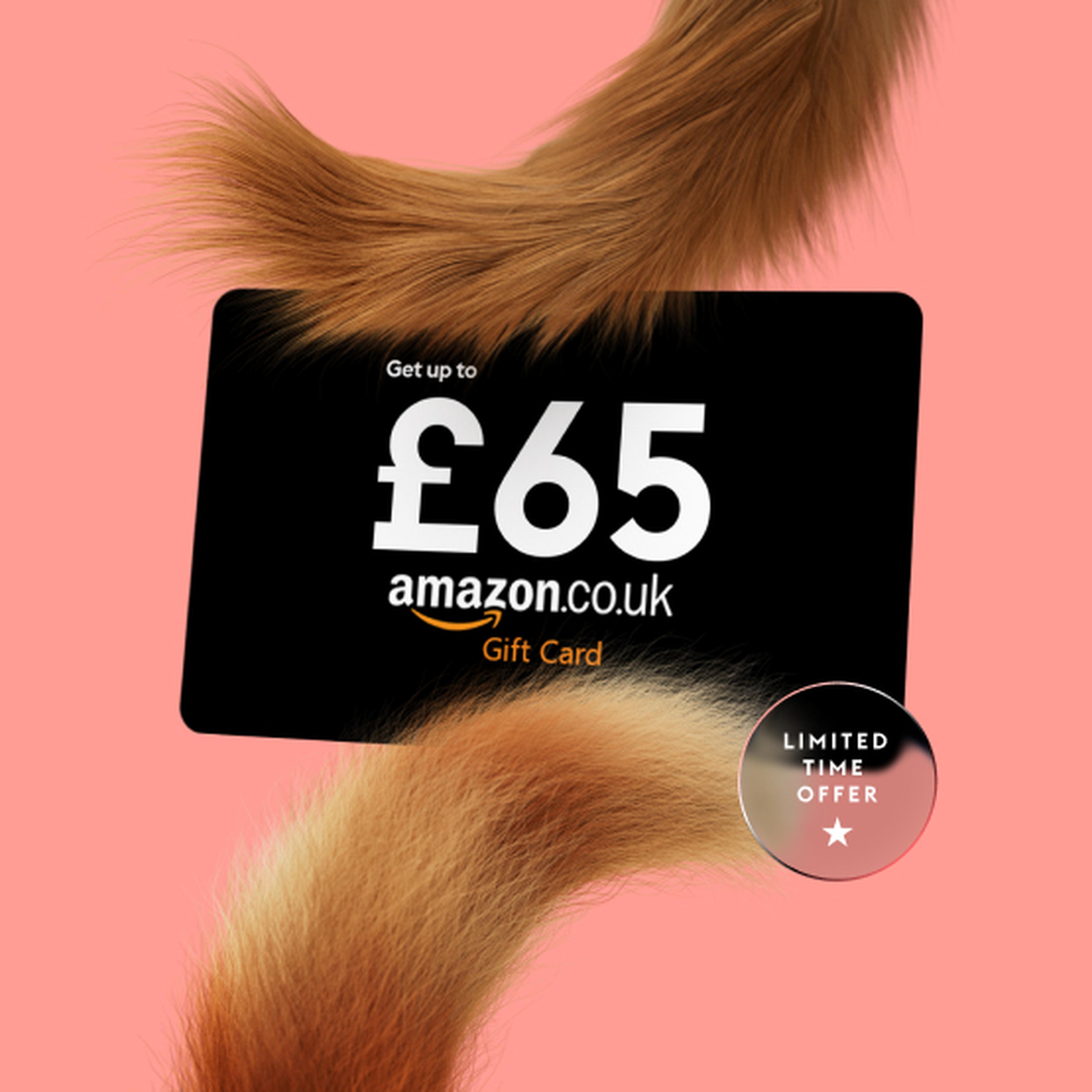 Up to £65 Amazon.co.uk Gift Card