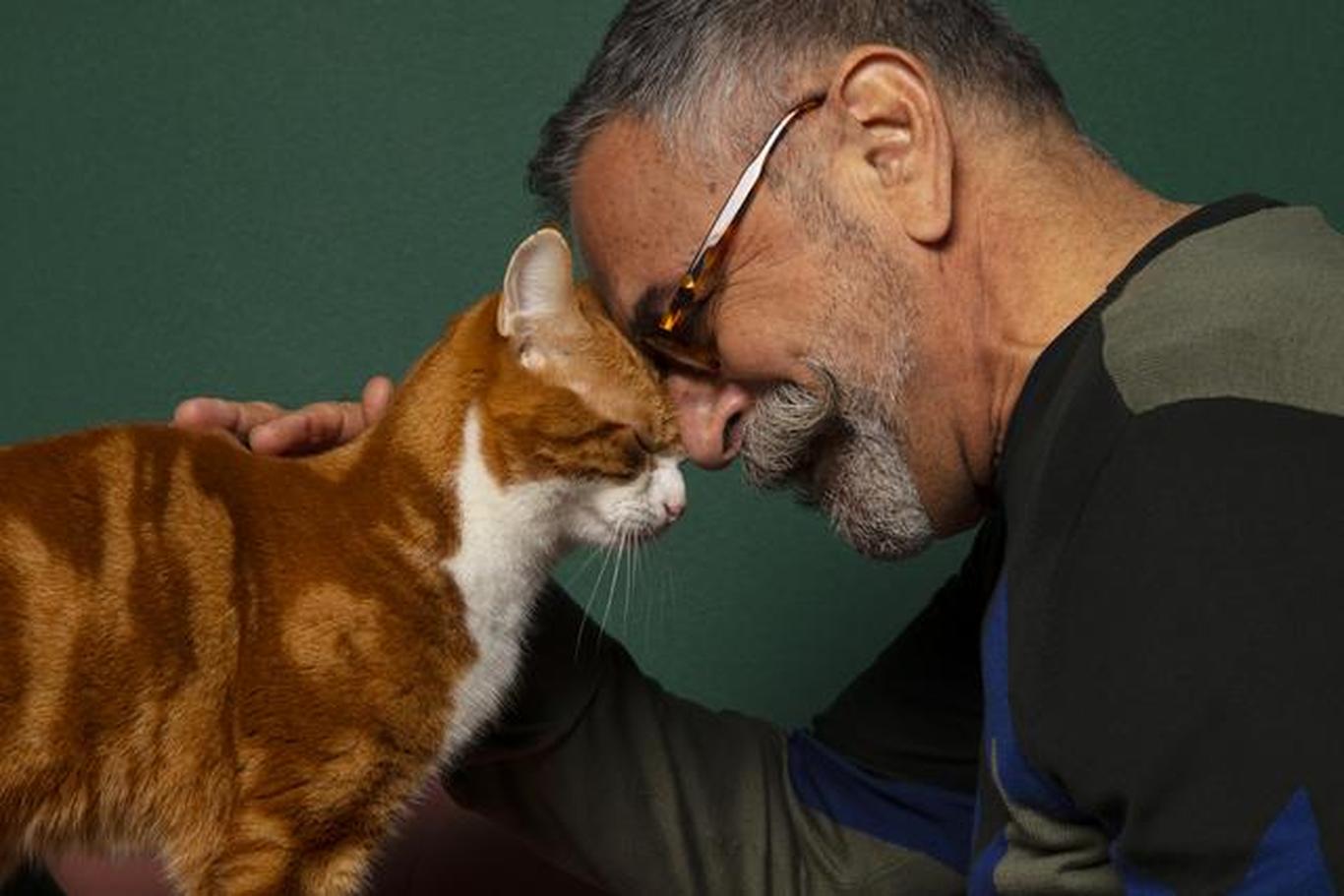 Pet Insurance for Older Cats Cover Your Senior Cat ManyPets