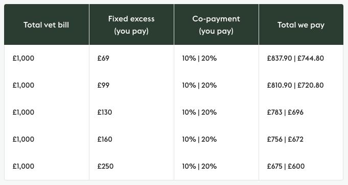 A table of copayment examples