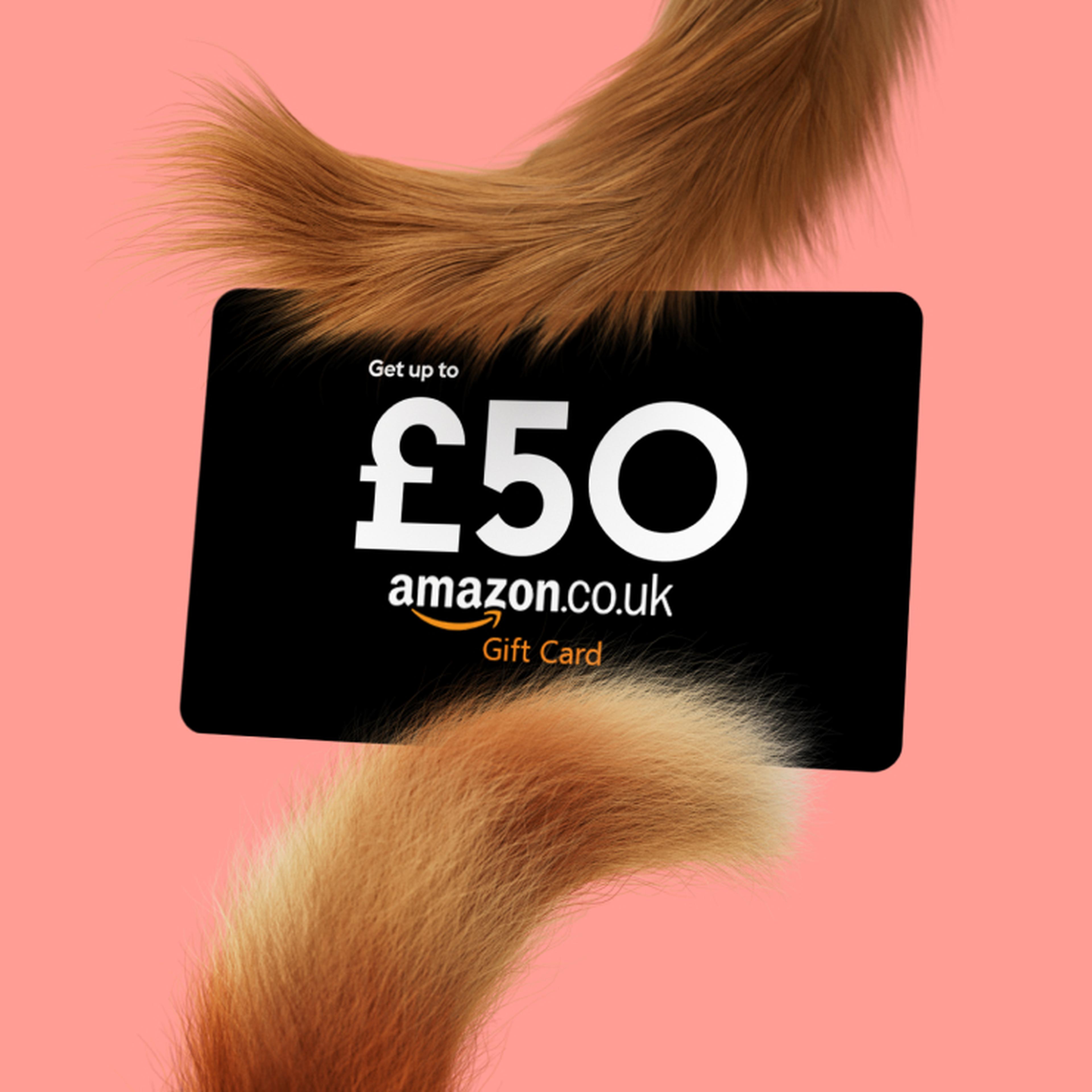 Get up to £50 amazon.co.uk gift card
