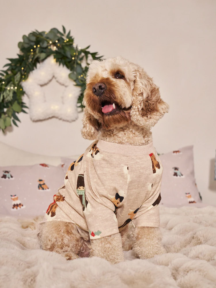 Image of a dog in an Oatmeal Next set of pyjamas