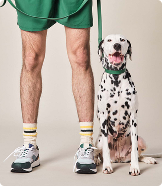 The pill that may help extend your dog's life | ManyPets