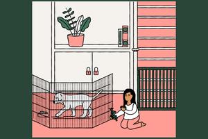 How to dog and child-proof your home