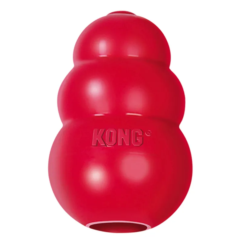 Image of a red KONG pet toy