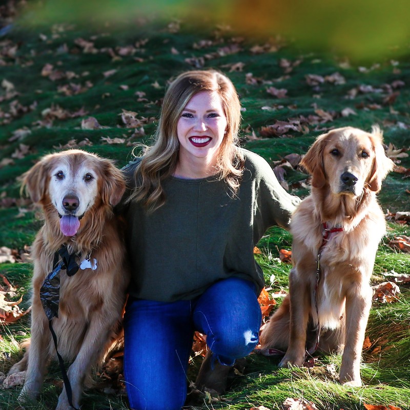 Can Dogs Die Of A Broken Heart