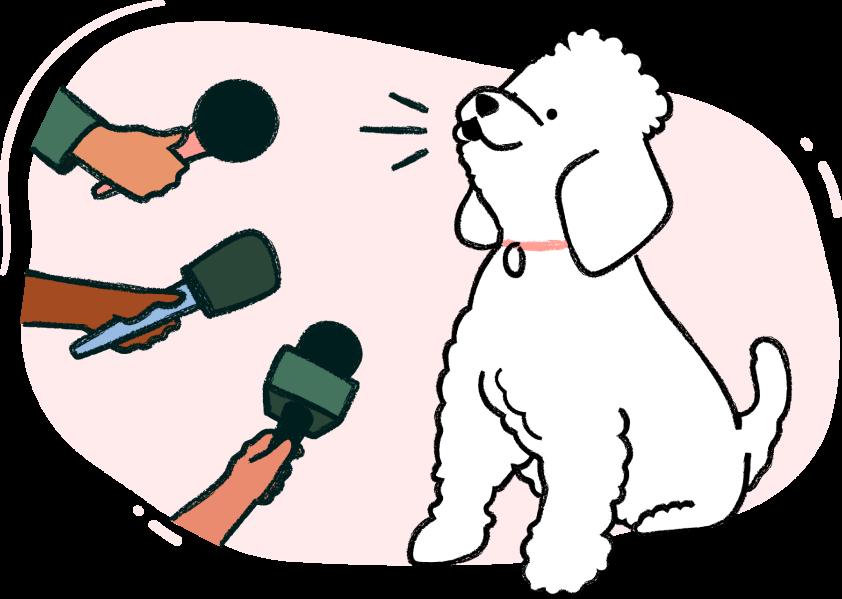 dog_interview