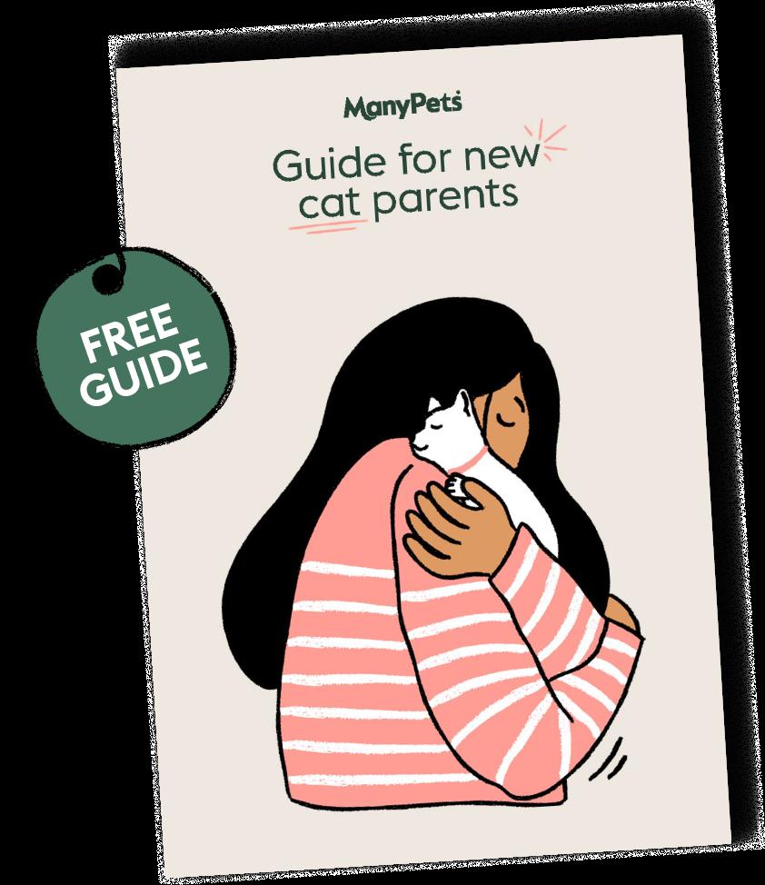 cat guide cover