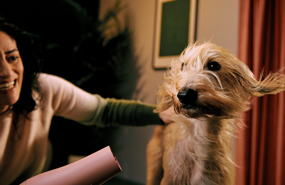 Dog Insurance Award Winning Pet Insurance For Dogs ManyPets