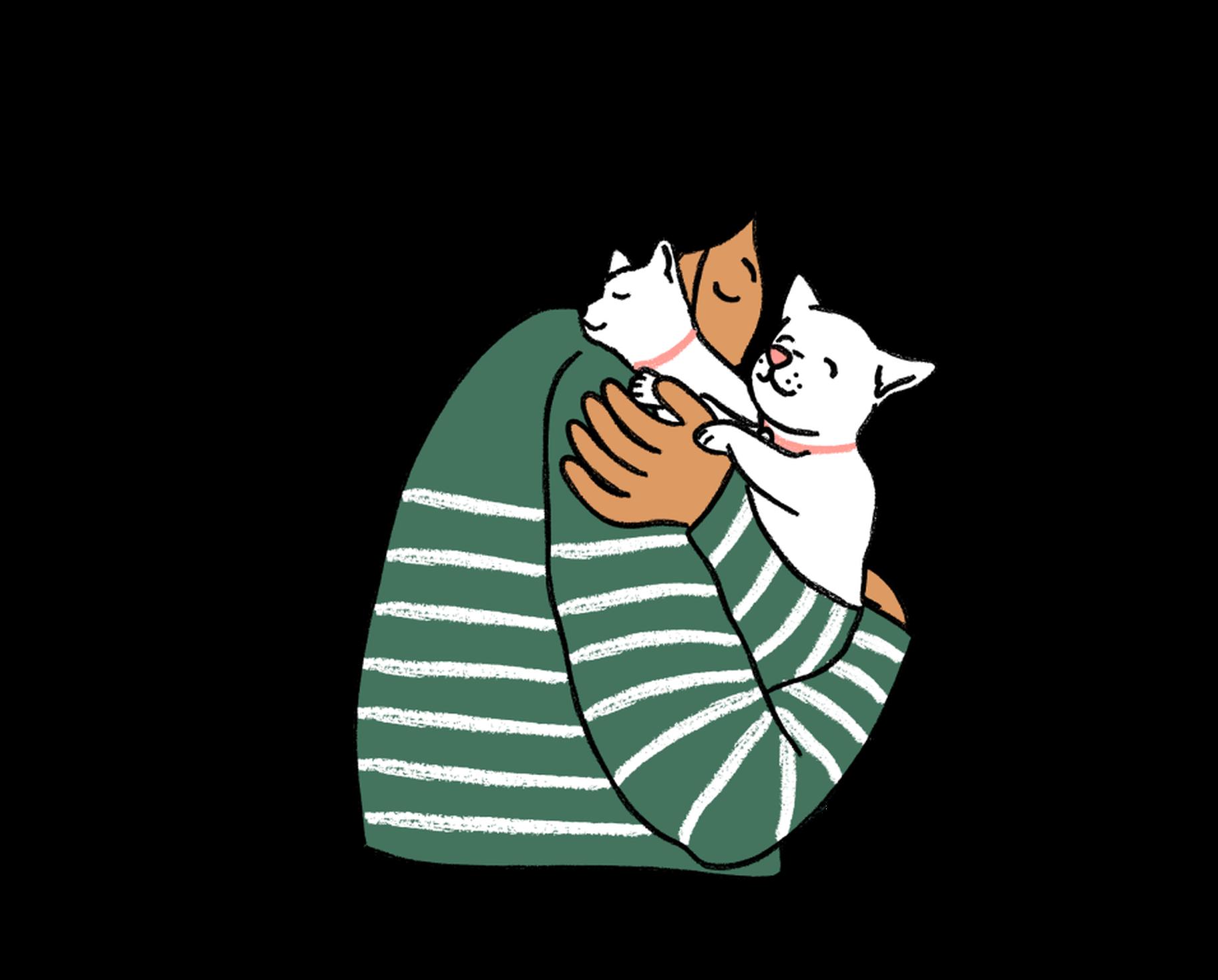 Kitten guide