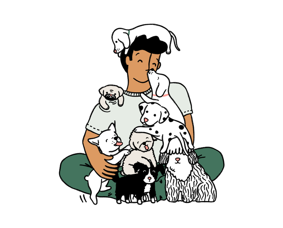 puppy-hub-manypets