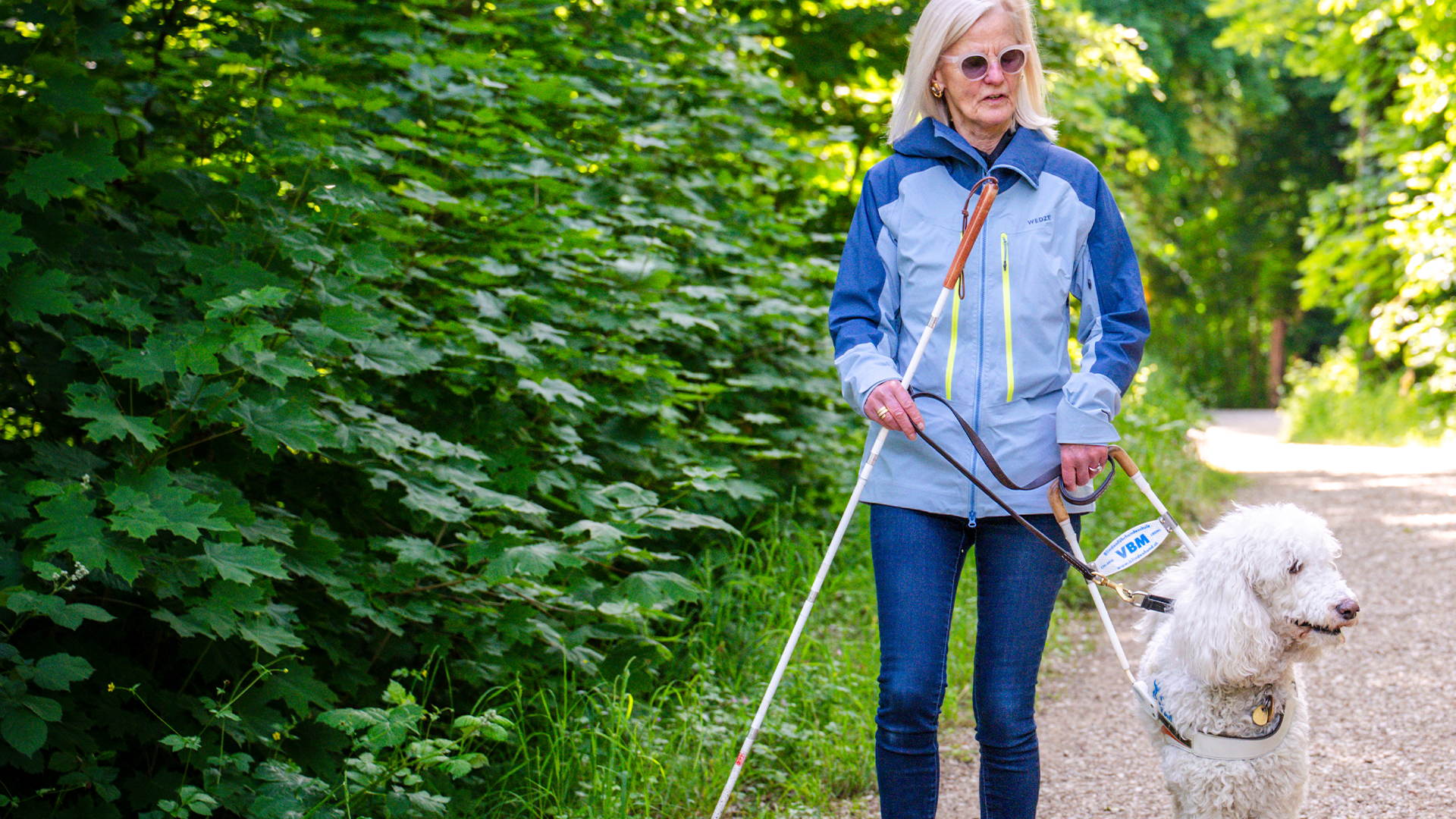 Frau mit weissblonden langen Haaren spaziert durch einen Wald grünen Bäumen. In der rechten Hand hält sie einen weissen Stock, in der linken das Geschirr an dem ein weisser, mittelgrosser Hund geht.