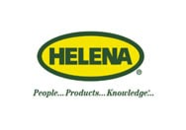 Helena