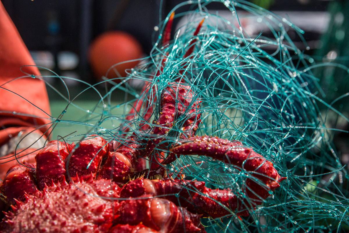 #tide ocean material | What is ocean-bound plastic?