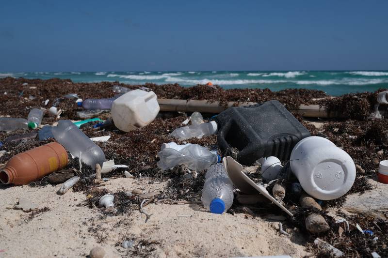 #tide ocean_Mexico_Plastic pollution