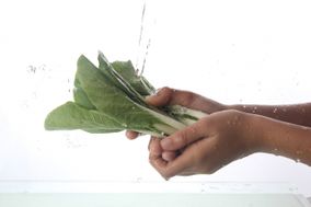 野菜を洗う 野菜を洗う