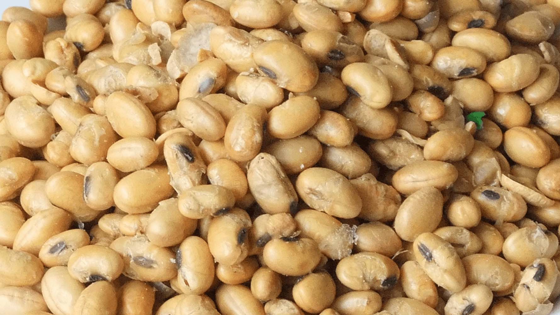 Soya improves vascular function and cardiometabolic risk markers in older adults Alpro Foundation