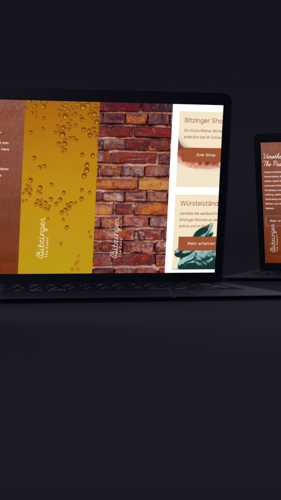 Bitzinger Laptop Mockup