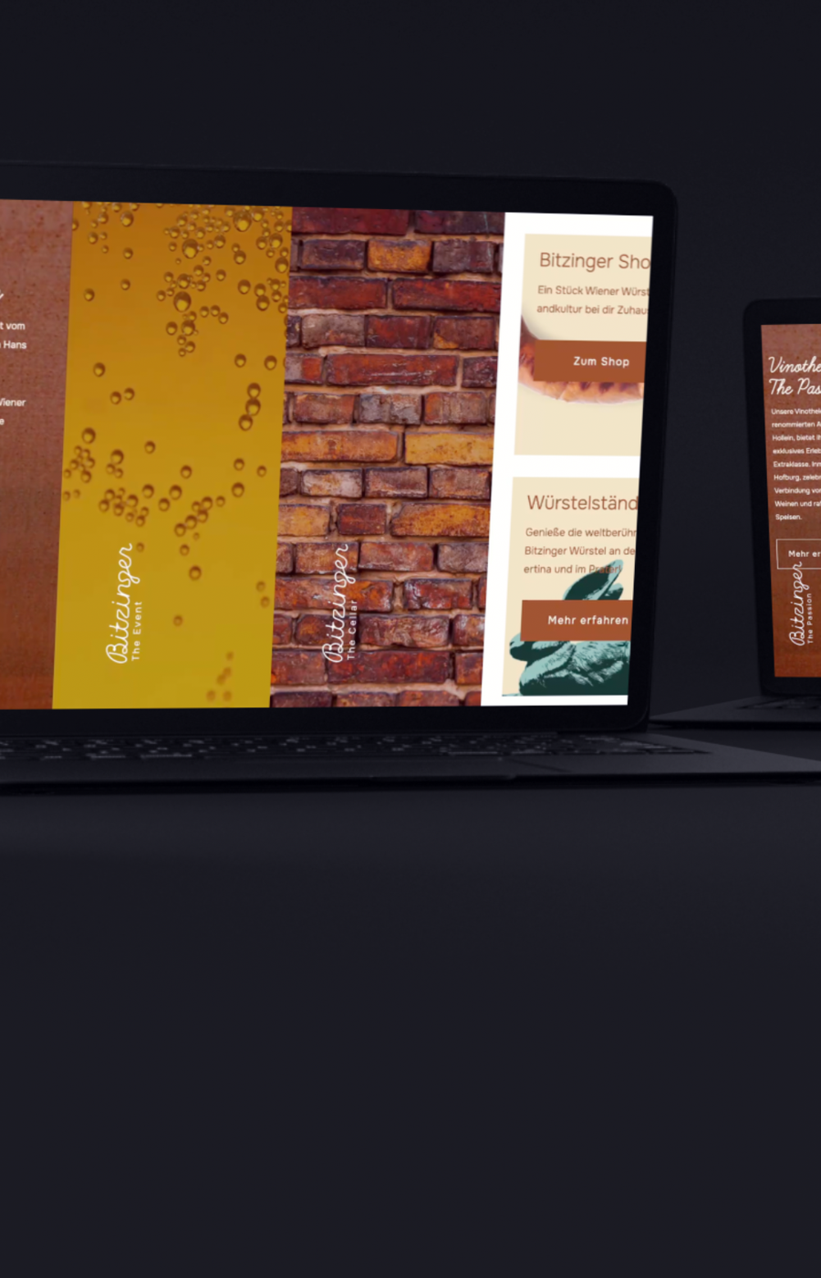 Bitzinger Laptop Mockup