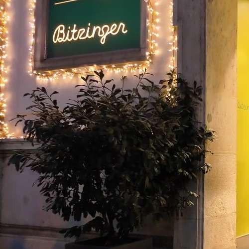 Entrance to Augustinerkeller in Vienna