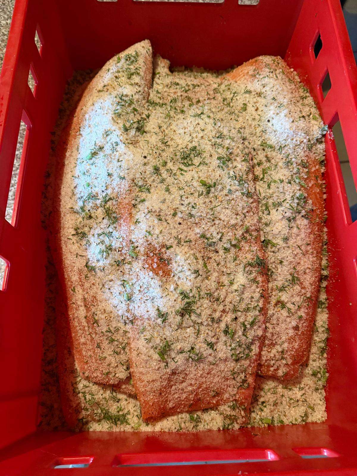 Lachsfilets mit Gewürzen und Kräutern bedeckt, in einer roten Kiste liegend.