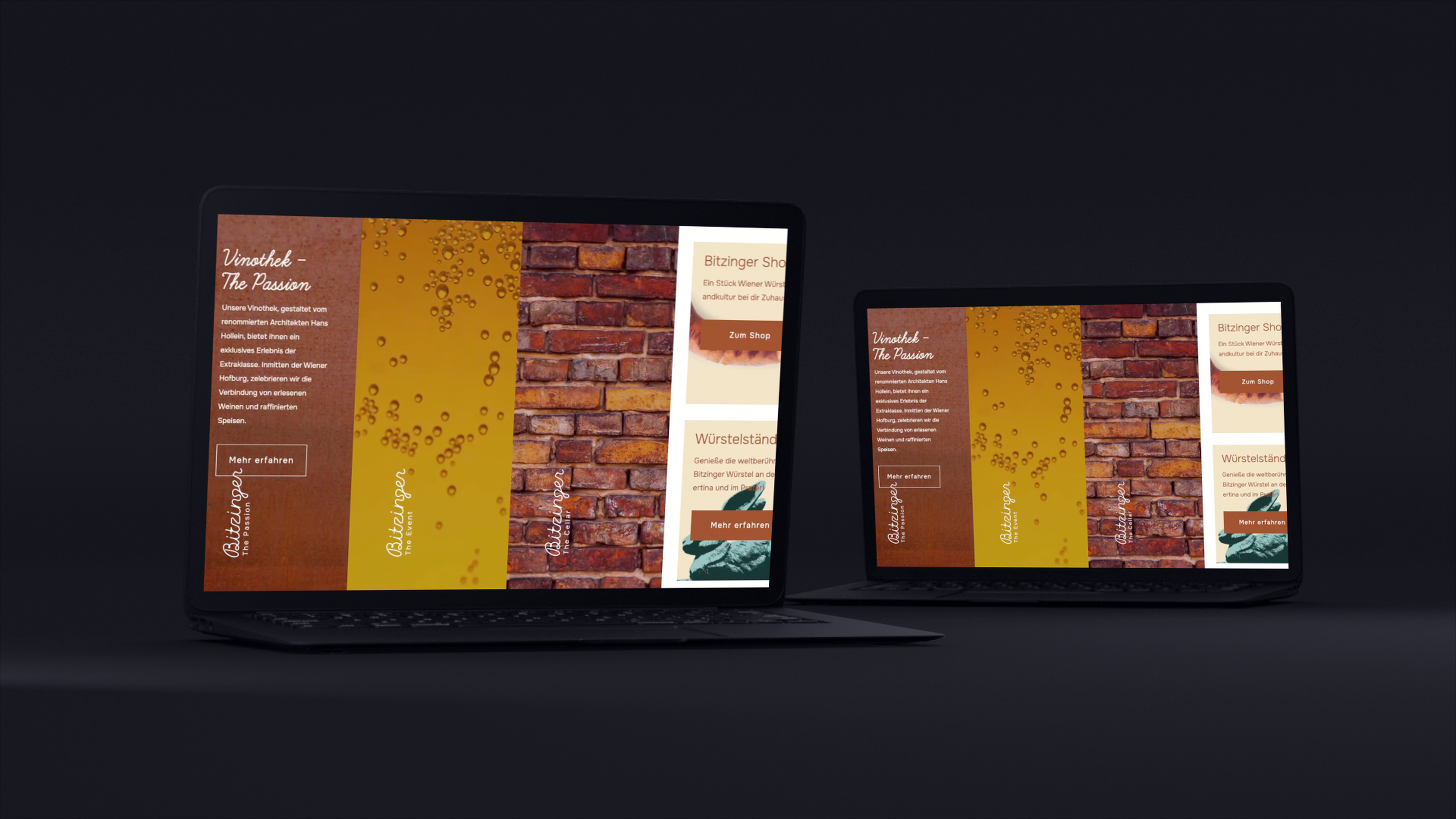 Bitzinger Laptop Mockup