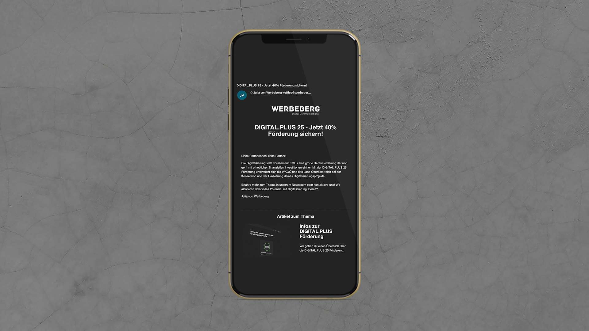 Ein Handy zeigt den Newsletter von Werbeberg.
