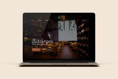 Bitzinger Webauftritt.