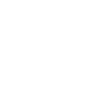 Logo mit Schriftzug: „Mitglied der IT Experts Austria“ in Weiß auf schwarzem Hintergrund mit geschwungenen Linien.