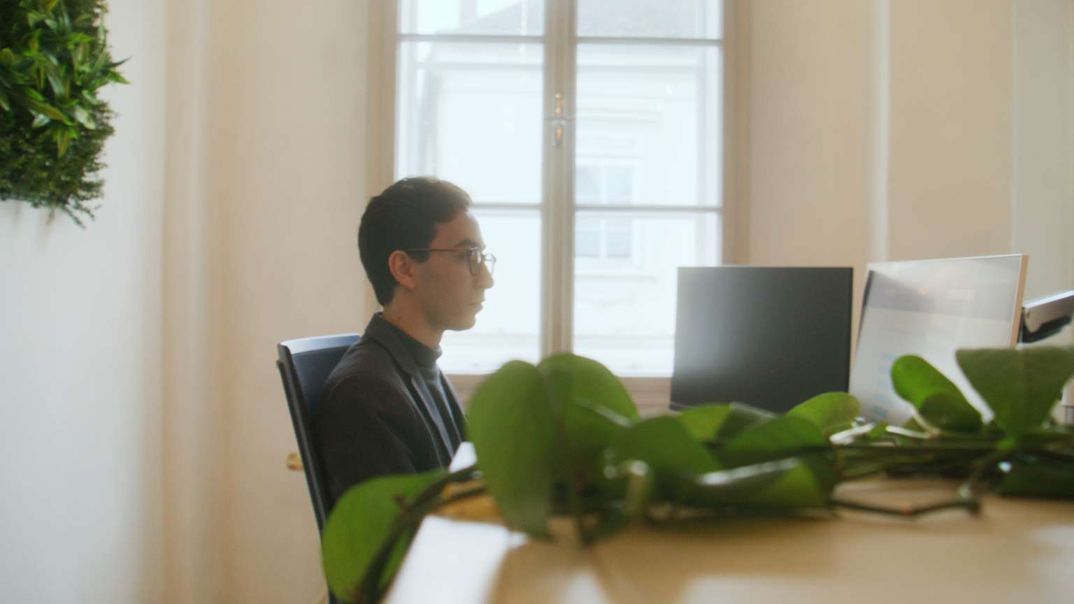 Männliche Person bei der Arbeit am Schreibtisch in einem hellen Raum mit grünen Pflanzen