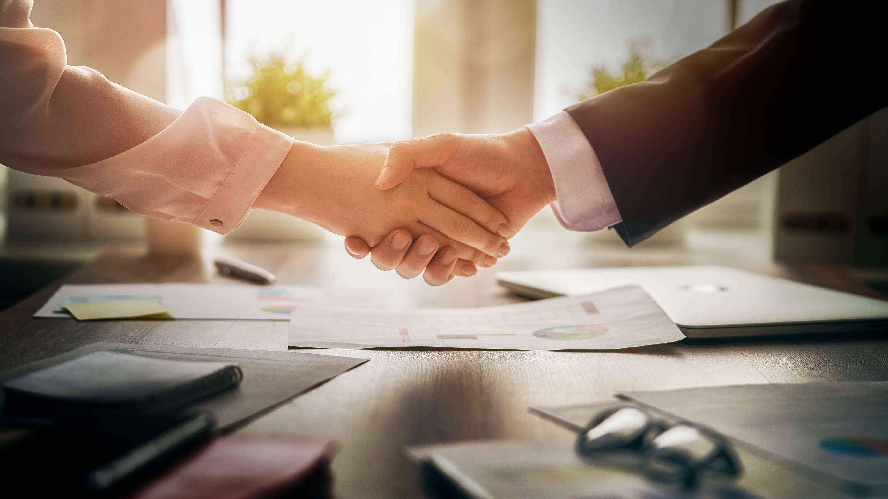 Zwei Arme, business-gekleidet, schütteln die Hände.