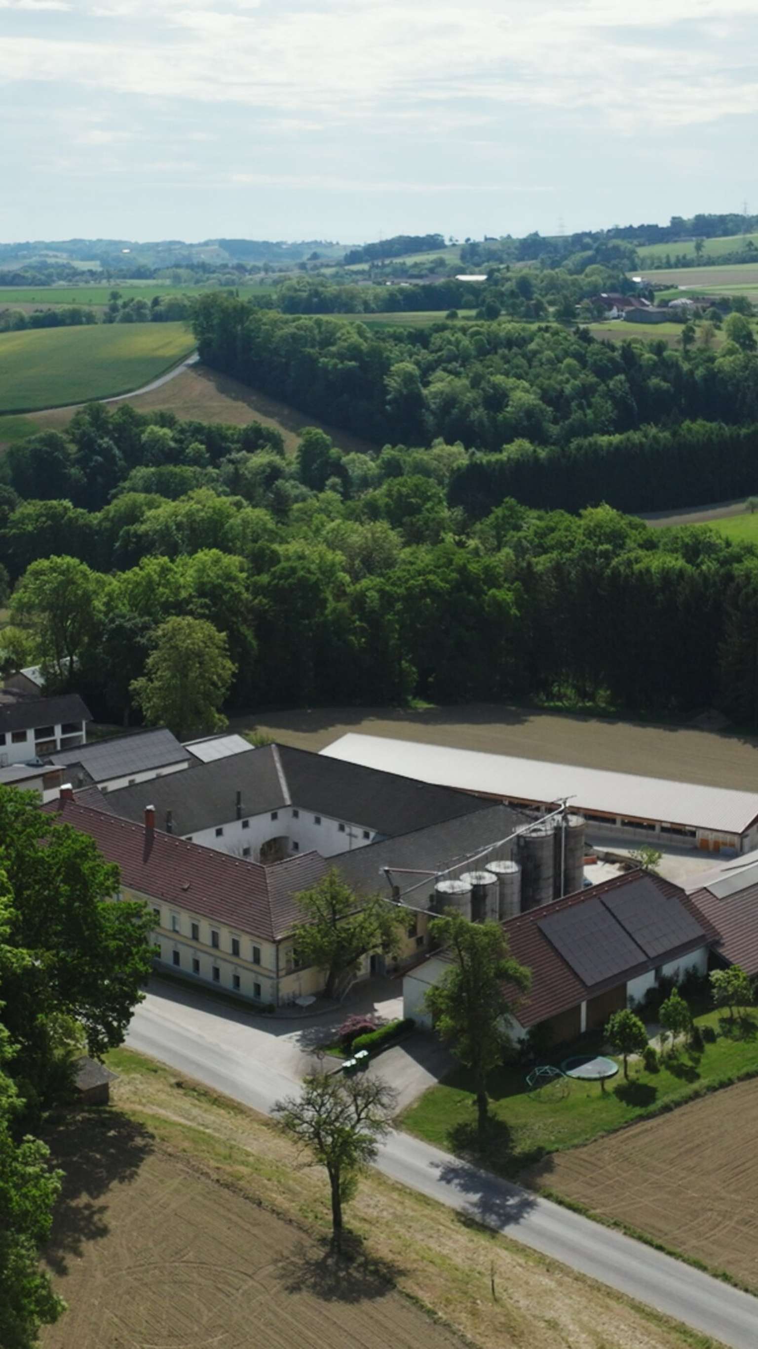 Landwirtschaftlicher Betrieb – BRÄUER Stalltechnik