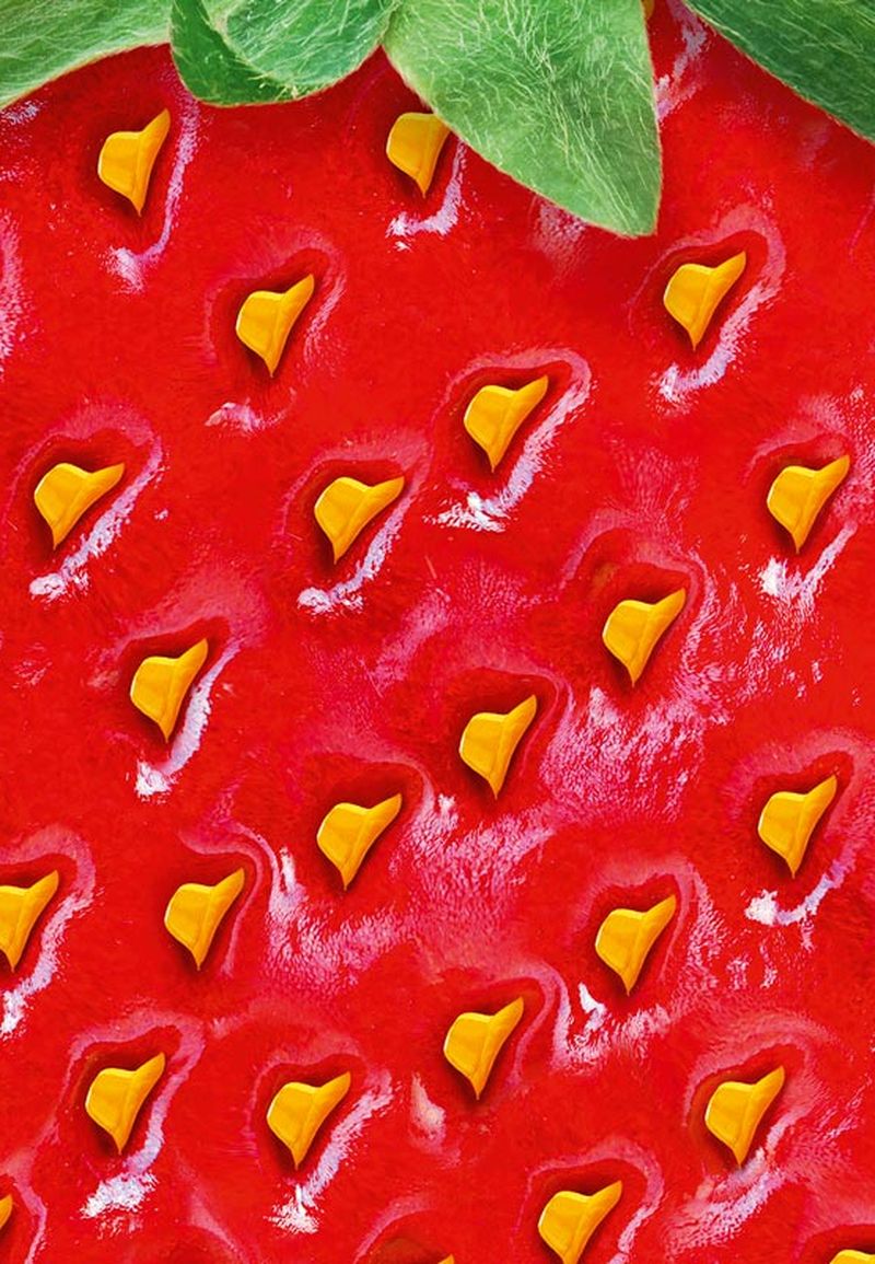 SAVÉOL, Les fraises bretonnes, 2025 - postproduction Dahinden