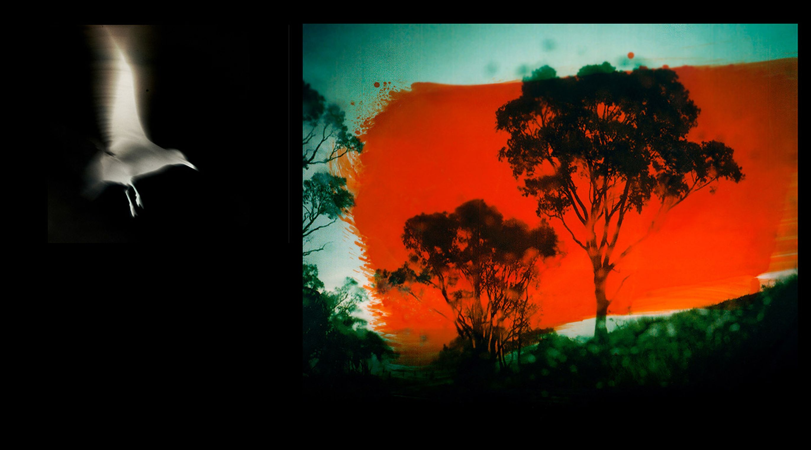 © @Aletheia Casey - A Lost Place - lauréate Une autre empreinte 2024