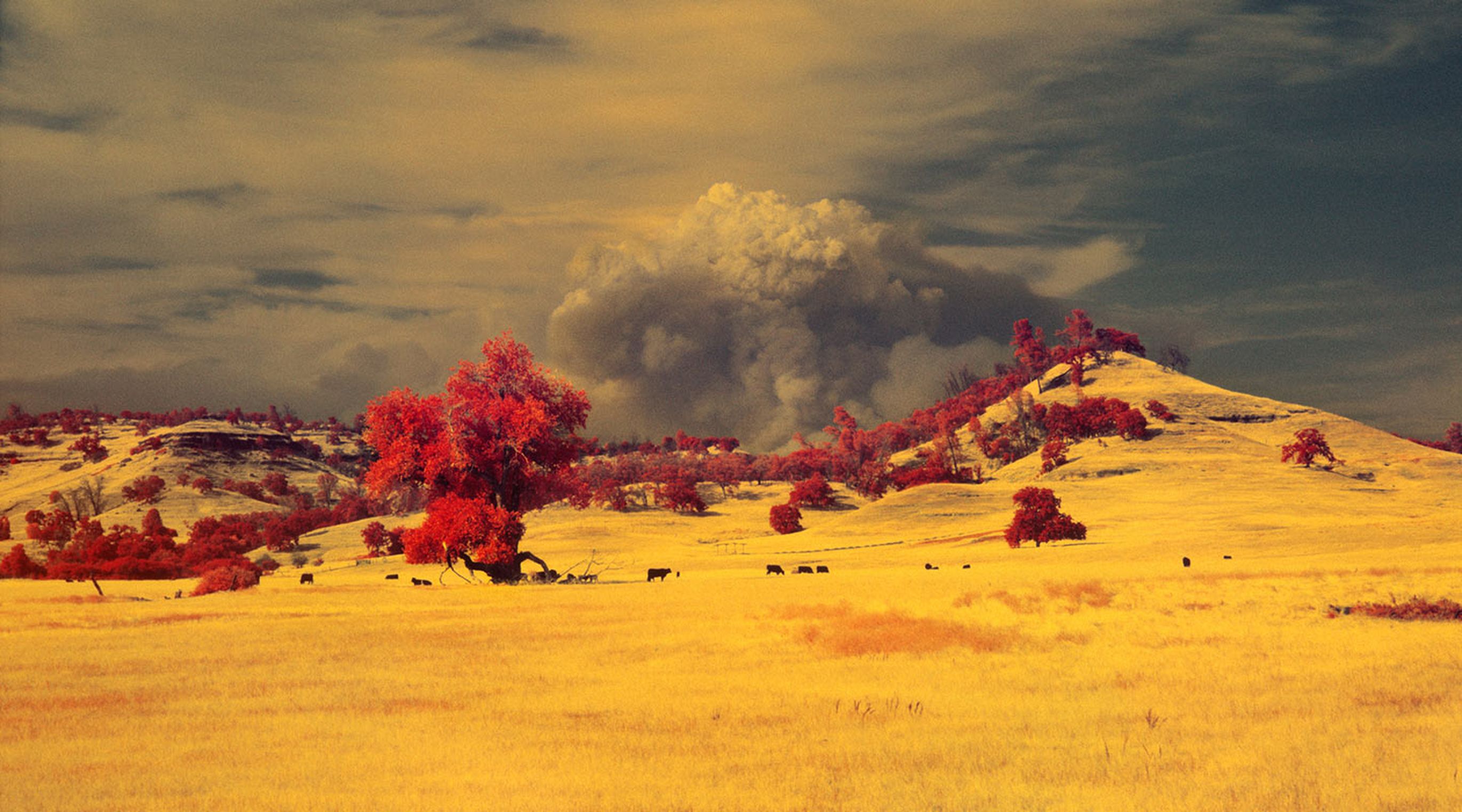 © Maxime Riché - Paradise - lauréat Une autre empreinte 2024