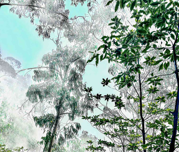 Exposition de Sophie Le Gendre au salon A ppr oc he