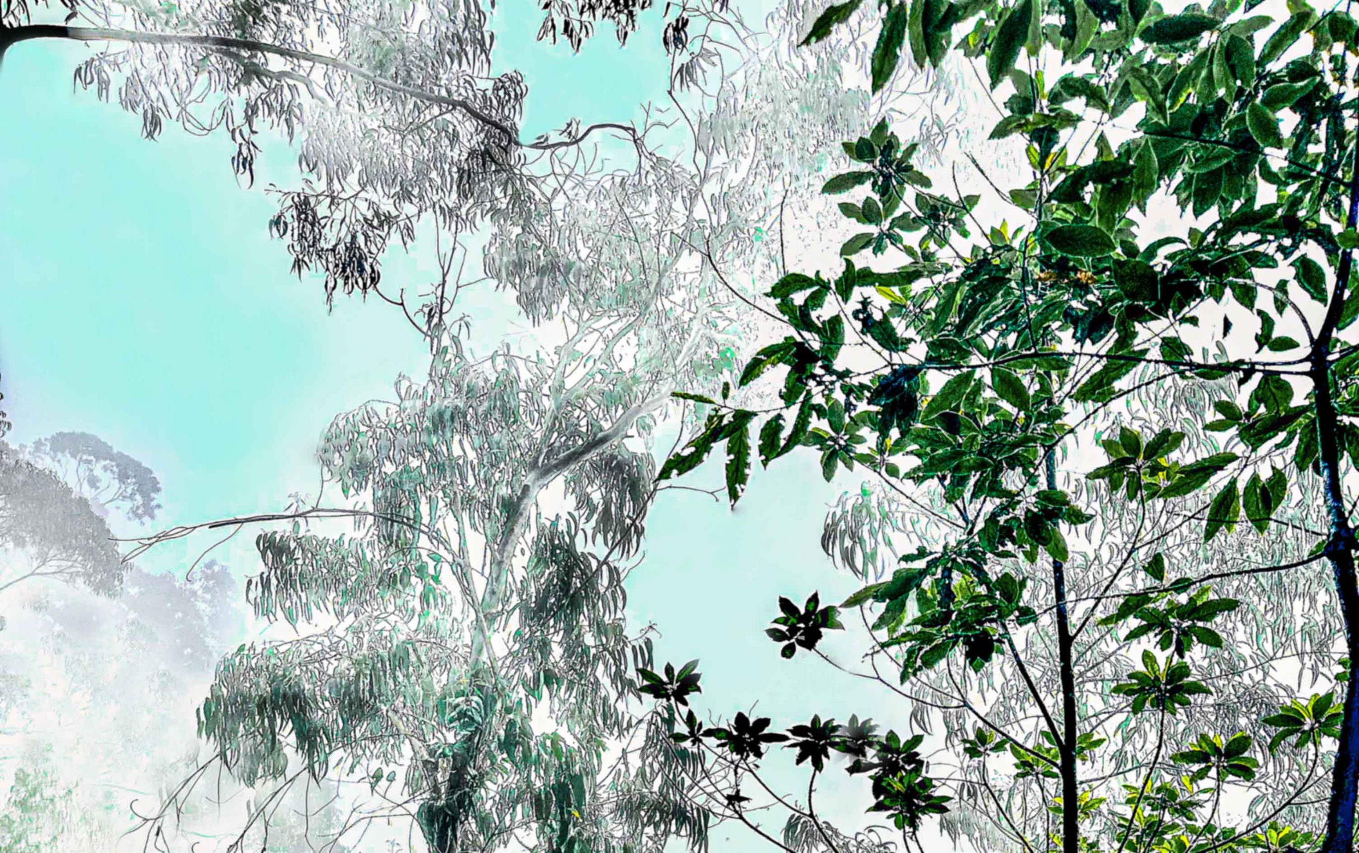 Exposition de Sophie Le Gendre au salon A ppr oc he