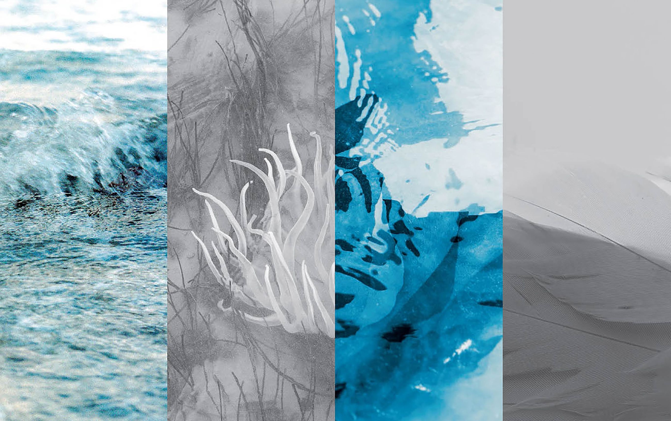 Rétrospective du festival BZH PHOTO à Paris, en partenariat avec Dahinden.