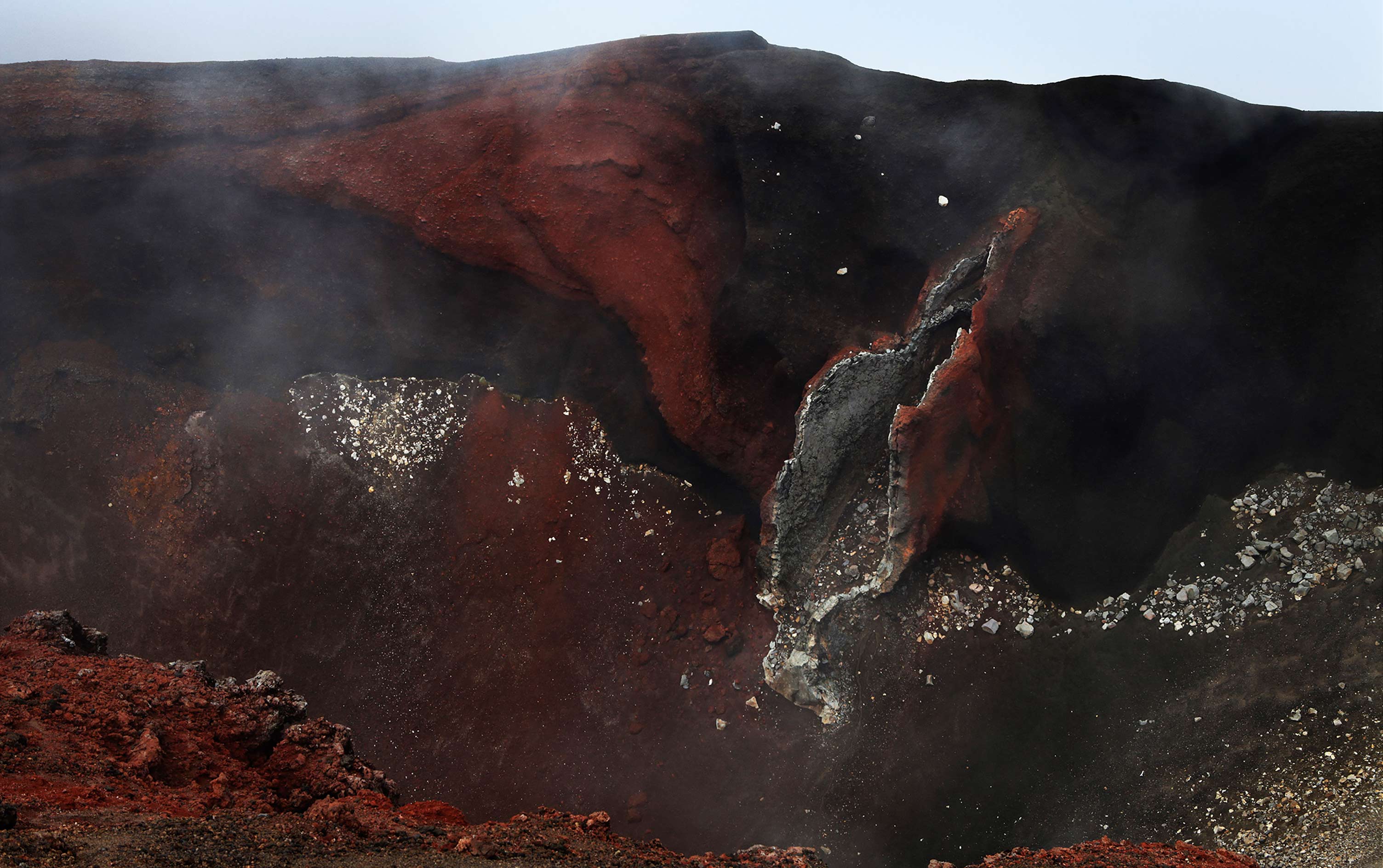 Exposition de Cécile Henryon